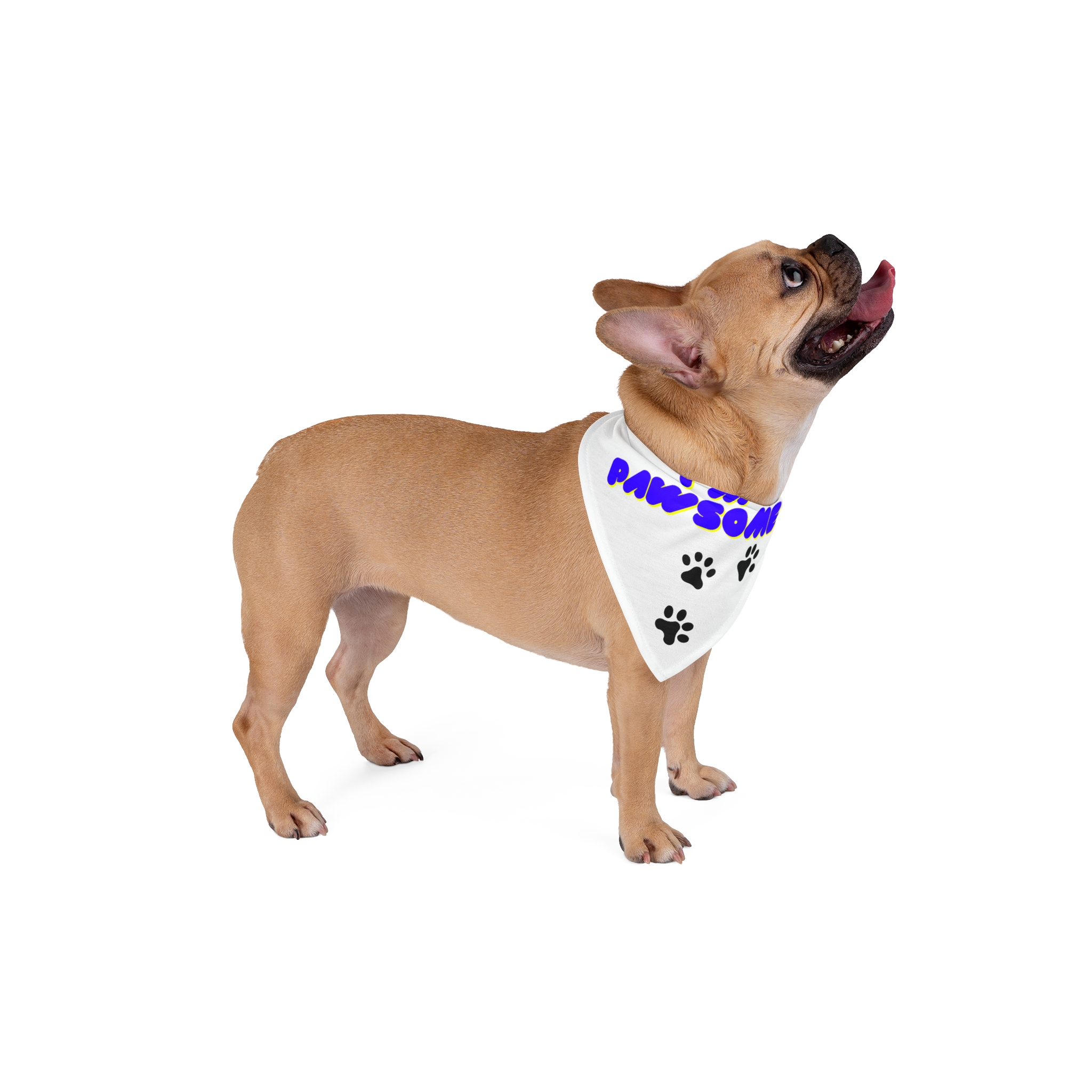 Pet Bandana - "I'm Pawsome" Dog Bandana with Paw Prints — Cute Pet Accessory for Dogs & Cats, Gift & Photo Props - Image 4